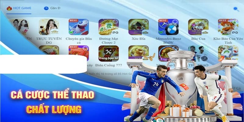 Các thông tin về sảnh thể thao