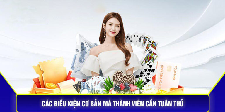 Các điều kiện cơ bản mà thành viên cần tuân thủ